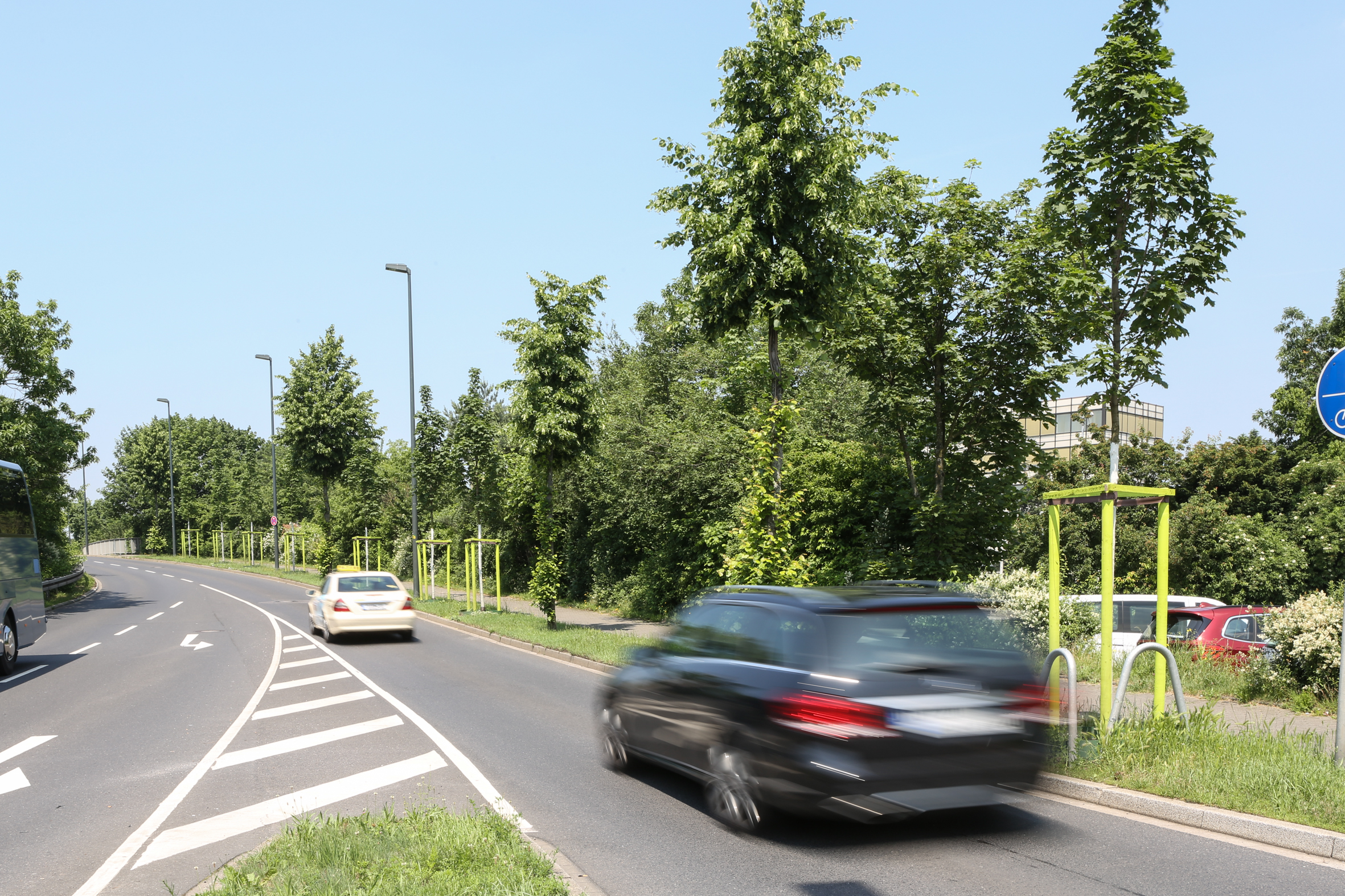 Auftakt zur Straßenbaumpflanzung Landeshauptstadt Düsseldorf