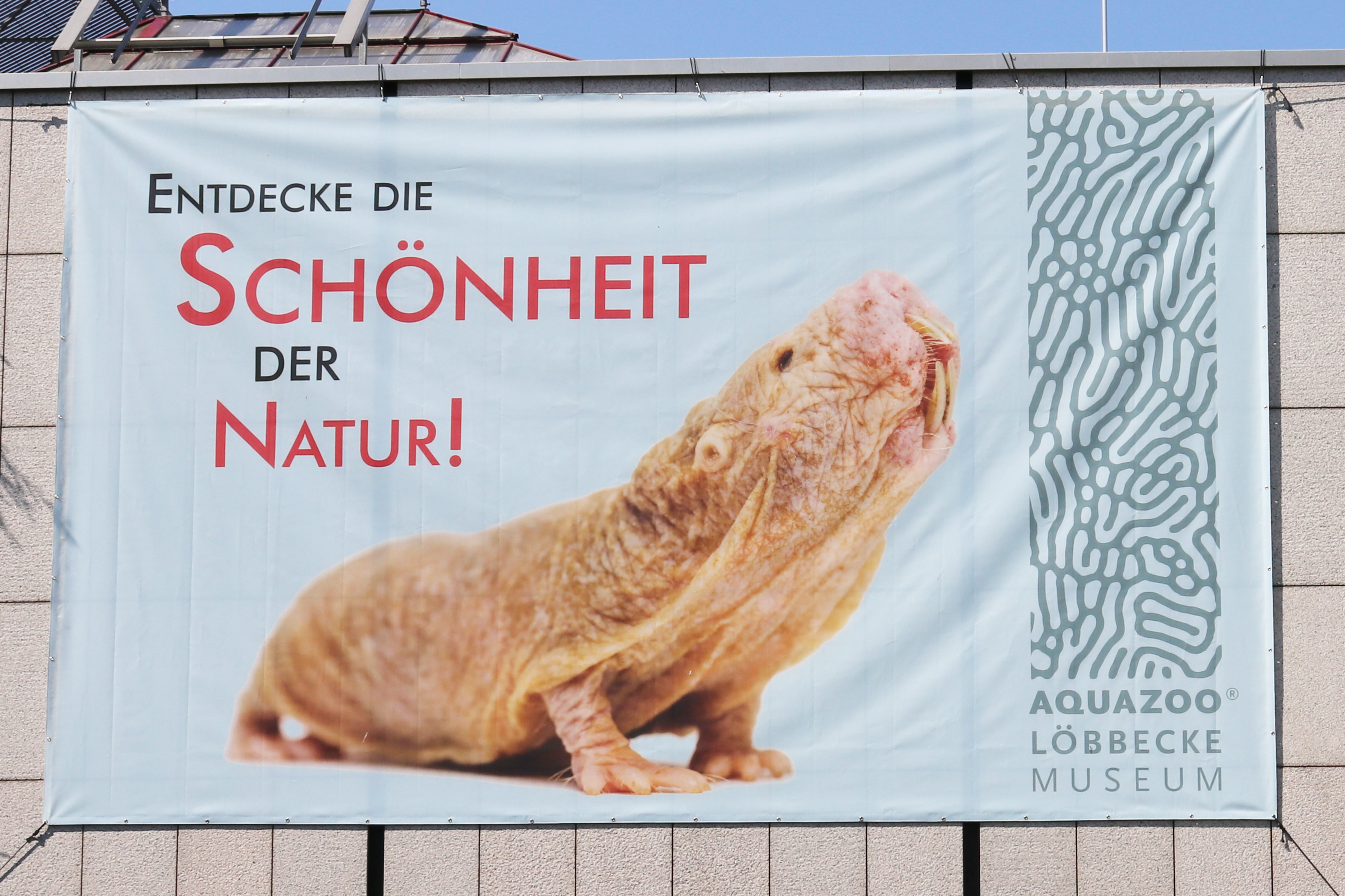 Aquazoo Lobbecke Museum Landeshauptstadt Dusseldorf