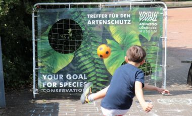 Ein Junge (von hinten) schießt einen Fußball auf eine Torwand. Diese zeigt einen Ausschnitt aus einem Tropenwald. Darauf zu lesen ist "Dein Treffer für den Artenschutz".