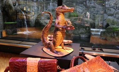 Krokodilpräparate in einer Vitrine vor dem Pinguingehege des Aquazoo Löbbecke Museum: Neben Handtaschen und Geldbörsen aus Krokodilleder ist auch ein präpariertes Krokodil zu sehen, dass aufrecht sitzt und einen Aschenbecher in den Händen hält.