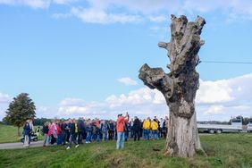 Abschied von der Himmelgeister Kastanie: Zahlreiche Menschen kamen zur Veranstaltung an den Kölner Weg, Fotos: Gstettenbauer. 