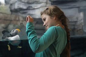 Ein Mädchen mit langen, braunen Haaren steht vor einer Glasscheibe, hinter der ein Papageitaucher auf dem Wasser schwimmt