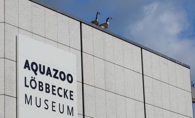 Teil der Außenfassade des Aquazoo Löbbecke Museum mit Namensschriftzug