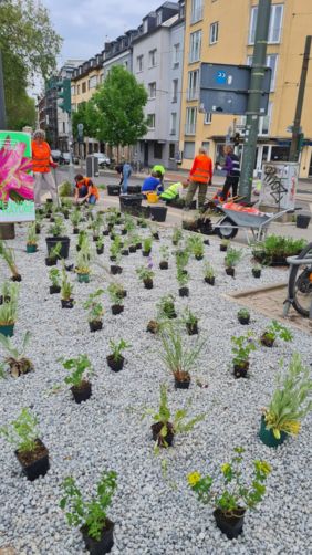 Ein Beispiel für ein bereits realisiertes platzgrün!-Projekt. Foto: Dr. Dickel