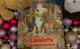 Foto mit Bilderbuch: "Liselotte Weihnachtskuh" in Weihnachtsdekoration