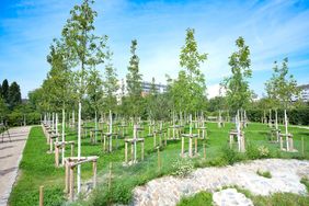 Landeshauptstadt Düsseldorf/Michael GstInnerhalb eines Jahres hat die Stadt auf dem einstigen Schotterparkplatz in Flingern-Süd einen sogenannten Pocketpark geschaffen. Auf fast 2.000 Quadratmetern hat die Stadt 123 neue Bäume, 175 Großsträucher sowie Wiesenstauden gepflanzt.ettenbauer