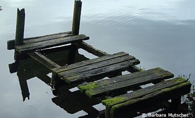 Foto von einem verfallenen Bootssteeg mit fehlenden Planken und mit Moosbelag.