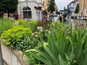 Landeshauptstadt Düsseldorf/Gartenamt/Dickel