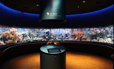 Riffaquarium mit 11 Meter langer Panoramascheibe in der Ausstellung des Aquazoo Löbbecke Museum