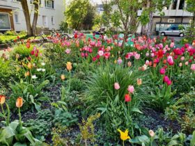 Landeshauptstadt Düsseldorf/Gartenamt/Dickel