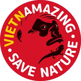 Logo der Vietnamazing-Kampagne