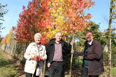 (v.l.) Gartenamtsleiterin Doris Törkel, Umweltdezernent Jochen Kral und Jörg Langenhorst, Leiter des Hauptbetriebshofs im Gartenamt, stellten die vierte Auflage der Aktion "Dein Baum" vor; Fotos: Lammert