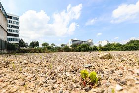 In Flingern-Süd entsteht ein neuer Pocketpark. Die Stadt entsiegelt eine ehemals als Parkplatz genutzte Fläche und baut eine öffentliche Grünanlage mit dem Charakter eines Wäldchens mitten in der Stadt.