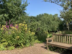 Landeshauptstadt Düsseldorf/Gartenamt